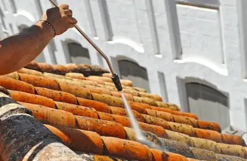 Nettoyage de toitures - Réding